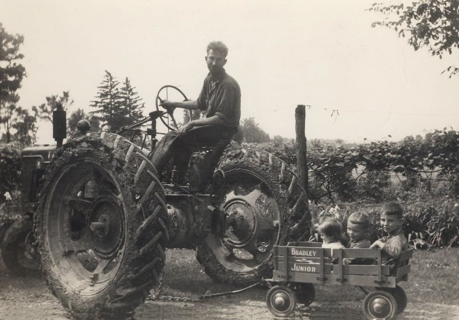 May be an image of tractor