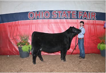 May be an image of text that says 'OHIO STATE FAIR'