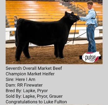 May be an image of text that says 'pulse - pulse ክርር Seventh Overall Market Beef Champion Market Heifer Sire: Here I Am Dam: RR Firewater Bred By: Lapke, Pryor Sold By: Lapke, Pryor, Grauer Congratulations to Luke Fulton'